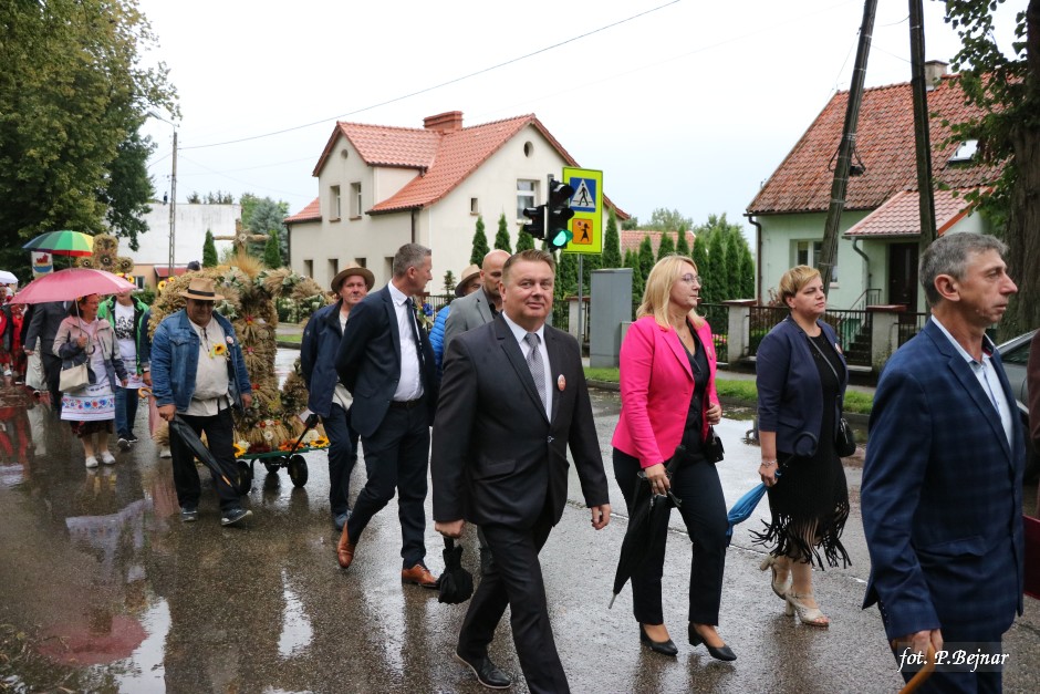 Miniatura zdjęcia:  45