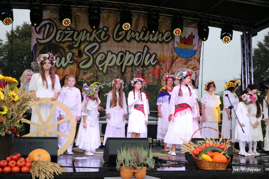Miniatura zdjęcia:  163