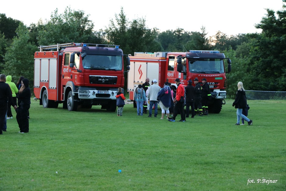 Miniatura zdjęcia:  221