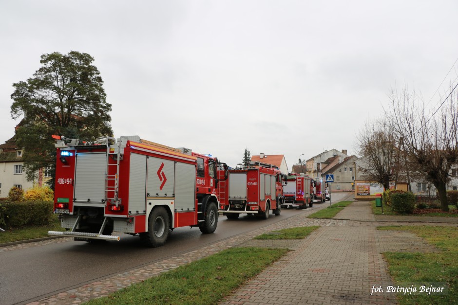 Miniatura zdjęcia:  24