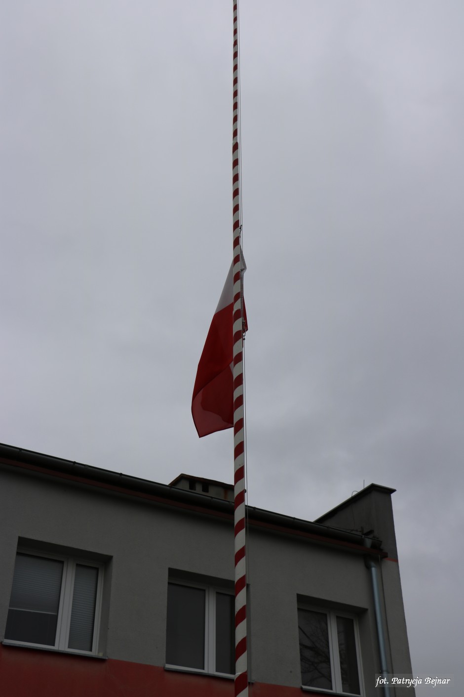 Miniatura zdjęcia:  33