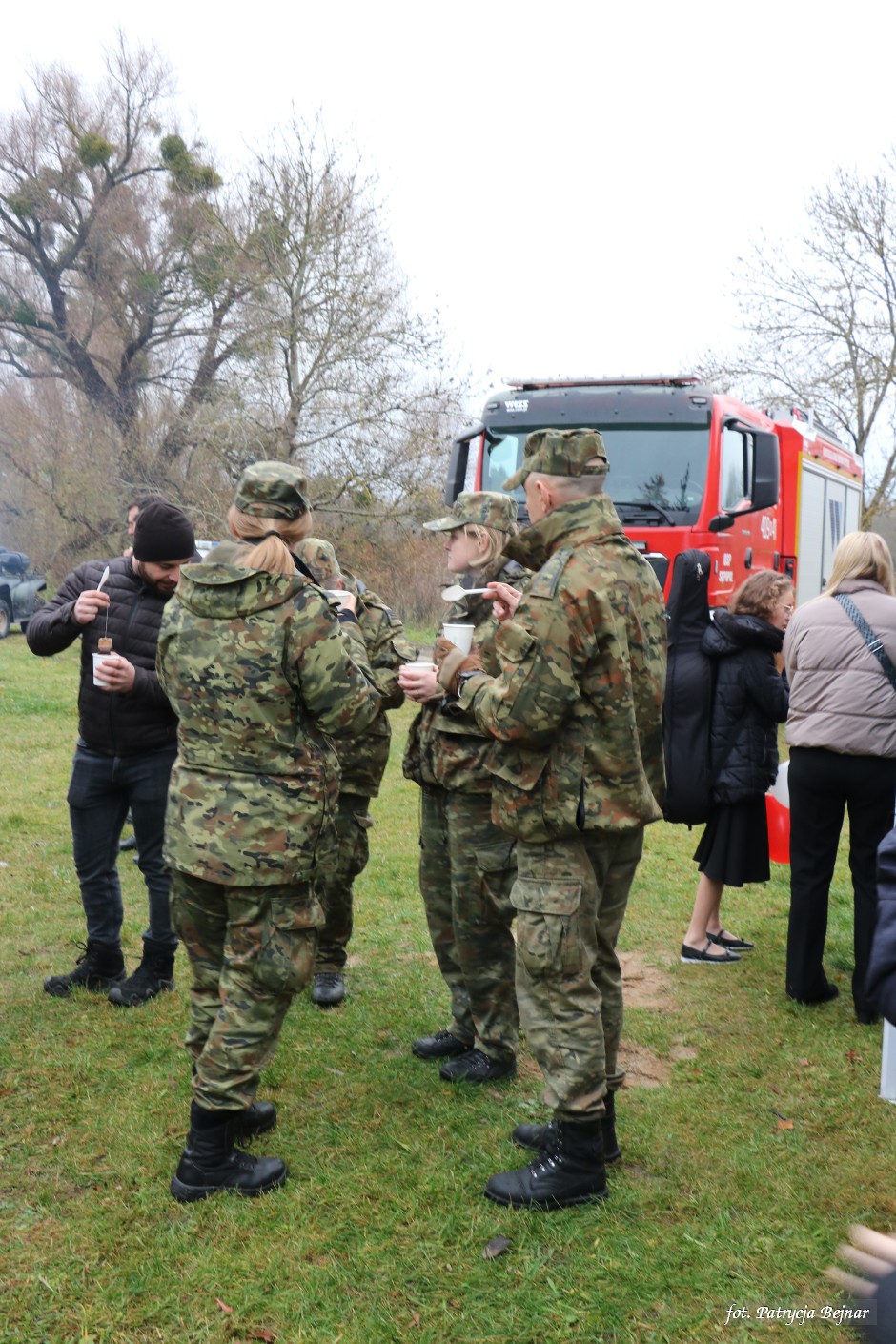 Miniatura zdjęcia:  96