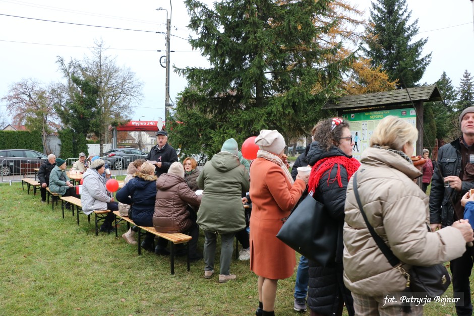 Miniatura zdjęcia:  99