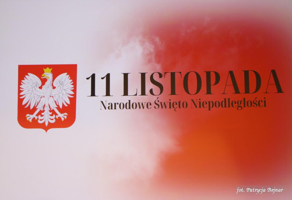 Miniatura zdjęcia:  105