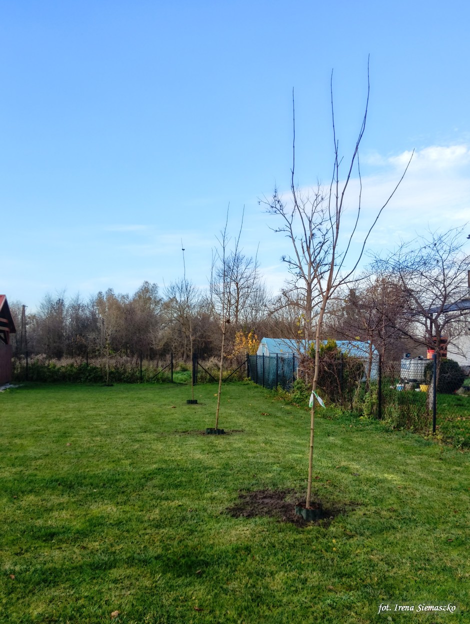 Miniatura zdjęcia:  3