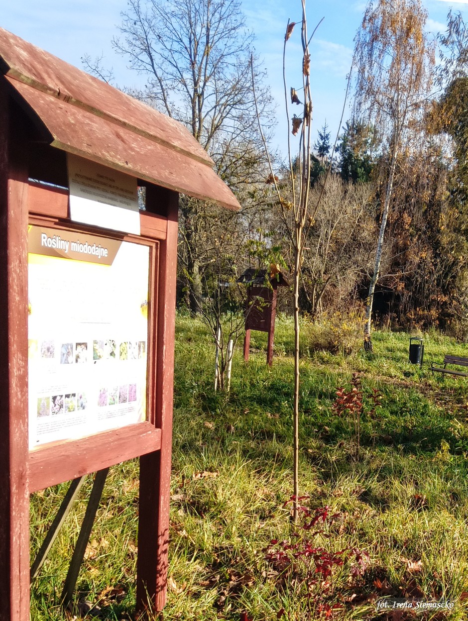 Miniatura zdjęcia:  5