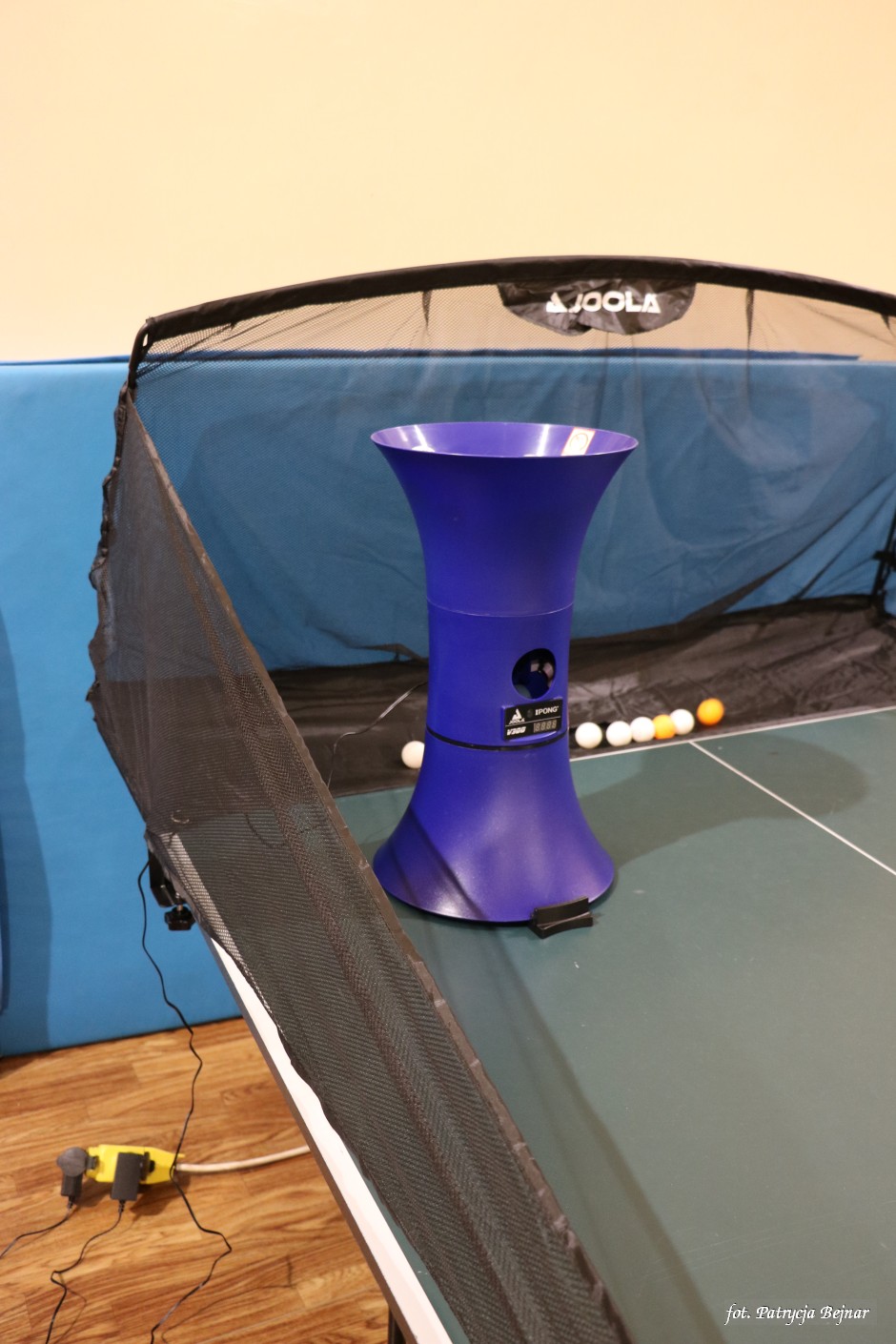 Miniatura zdjęcia:  6