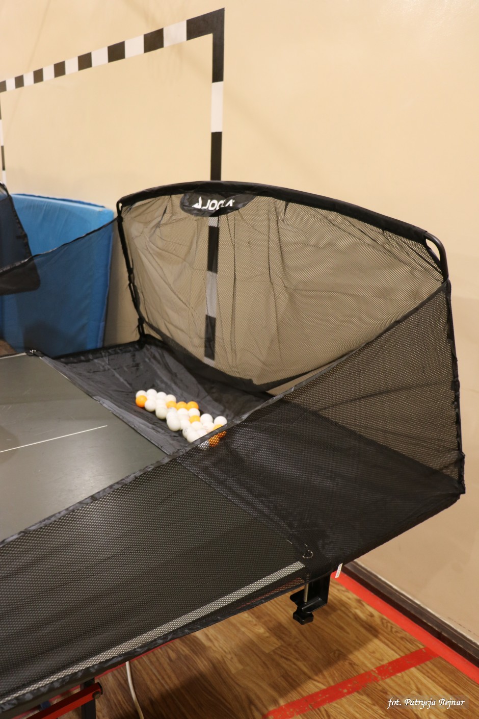 Miniatura zdjęcia:  8