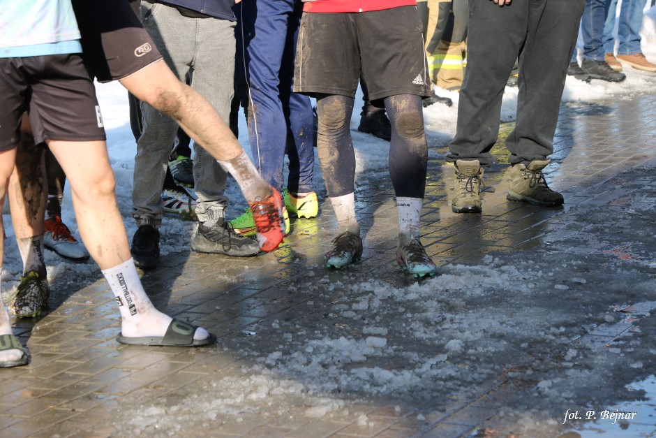 Miniatura zdjęcia:  50