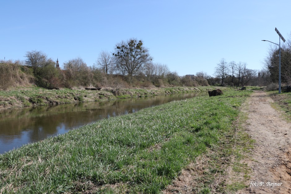 Miniatura zdjęcia: Fotka 9