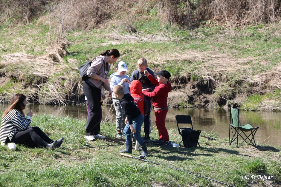 Miniatura zdjęcia: Fotka 24