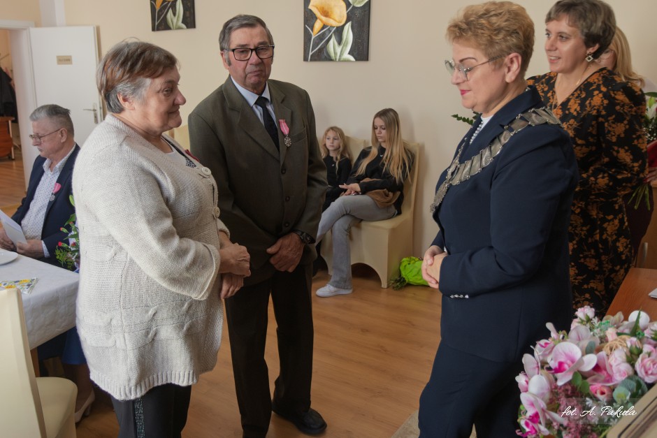 Miniatura zdjęcia: 12